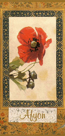 130