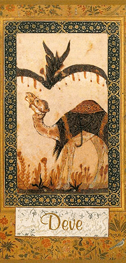 131