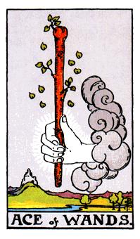 36