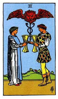 53